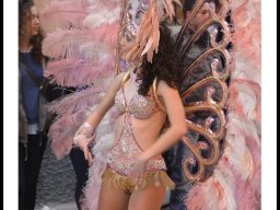 Carnaval de Mula 2014